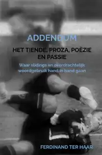 HET TIENDE, PROZA, POEZIE EN PASSIE - ADDENDUM