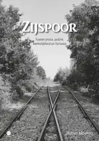 ZIJSPOOR