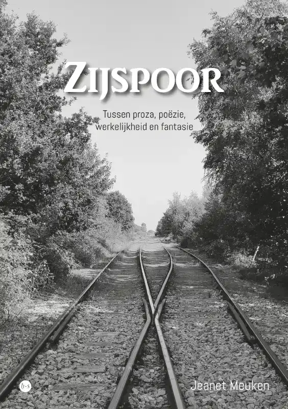 ZIJSPOOR