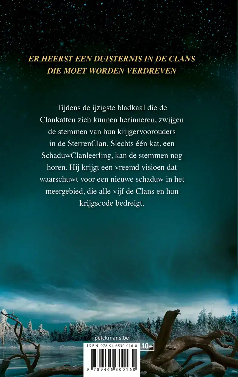 WARRIOR CATS - DE VERBROKEN CODE: VERLOREN STERREN