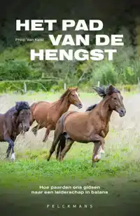 HET PAD VAN DE HENGST