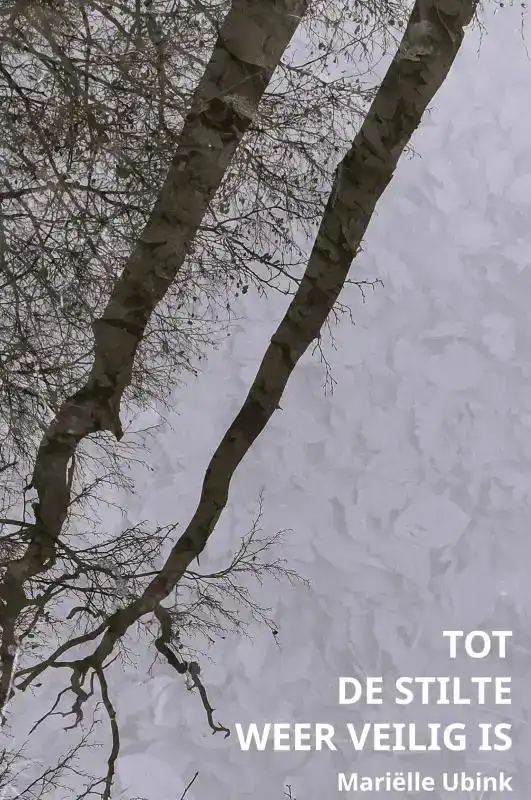 TOT DE STILTE WEER VEILIG IS