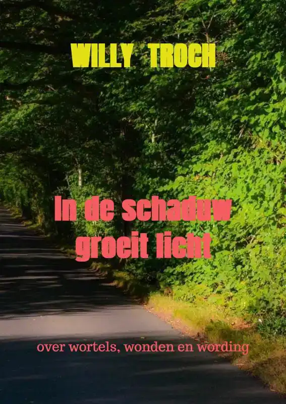 IN DE SCHADUW GROEIT LICHT
