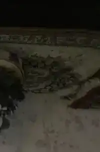 HET MEISJE DAT KERST VIERD