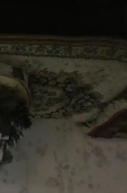 HET MEISJE DAT KERST VIERD