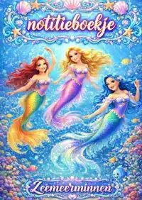 NOTITIEBOEKJE, ZEEMEERMINNEN.