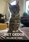 HET GEDOE