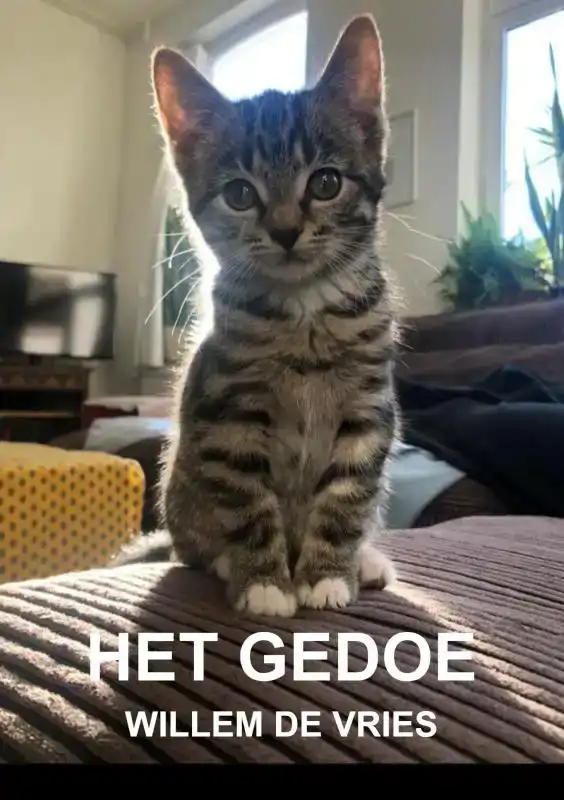 HET GEDOE