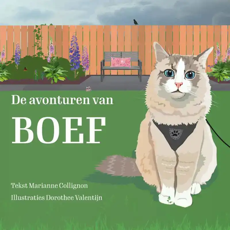 DE AVONTUREN VAN BOEF
