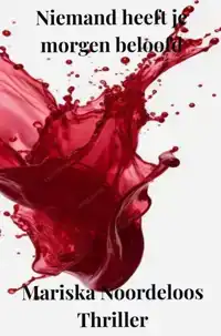 NIEMAND HEEFT JE MORGEN BELOOFD.