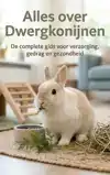 ALLES OVER DWERGKONIJNEN