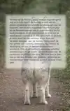 ALLES OVER DE POMSKY