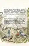 ALLES OVER SIERVOGELS