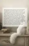 ALLES OVER DE TURKSE ANGORA