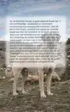 ALLES OVER DE ANATOLISCHE HERDER