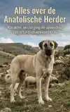 ALLES OVER DE ANATOLISCHE HERDER