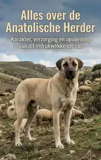 ALLES OVER DE ANATOLISCHE HERDER