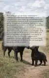 ALLES OVER DE MUDI