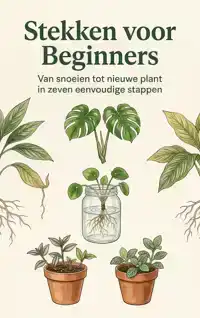 STEKKEN VOOR BEGINNERS