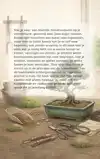 BEGINNEN MET BONSAI