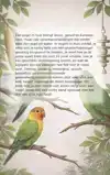 VOGELS IN HUIS