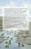 DE VOGELS VAN DE WADDEN