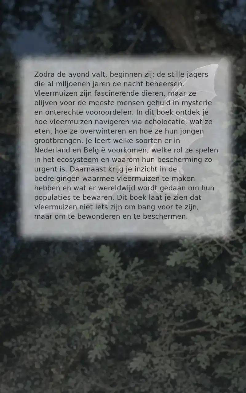 ALLES OVER VLEERMUIZEN