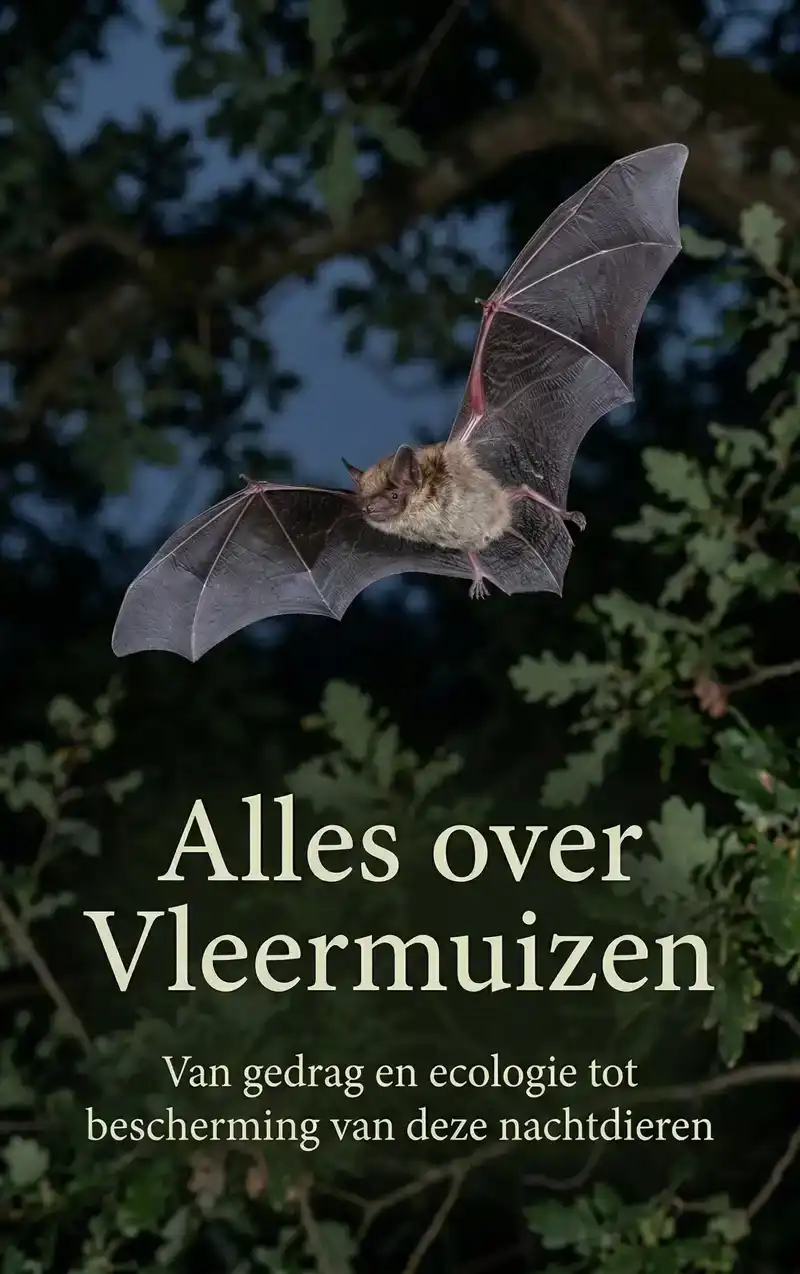ALLES OVER VLEERMUIZEN
