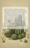 ALLES OVER CACTUSSEN