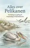 ALLES OVER PELIKANEN