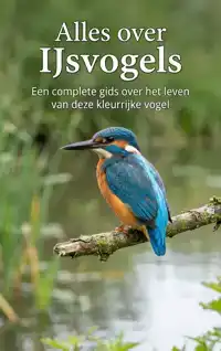 ALLES OVER IJSVOGELS