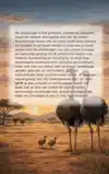 ALLES OVER STRUISVOGELS