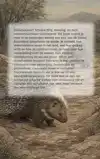 ALLES OVER STEKELVARKENS