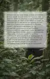 ALLES OVER CHIMPANSEES