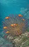 ALLES OVER ZEEANEMONEN