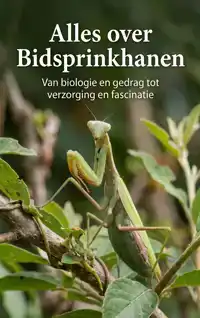 ALLES OVER BIDSPRINKHANEN
