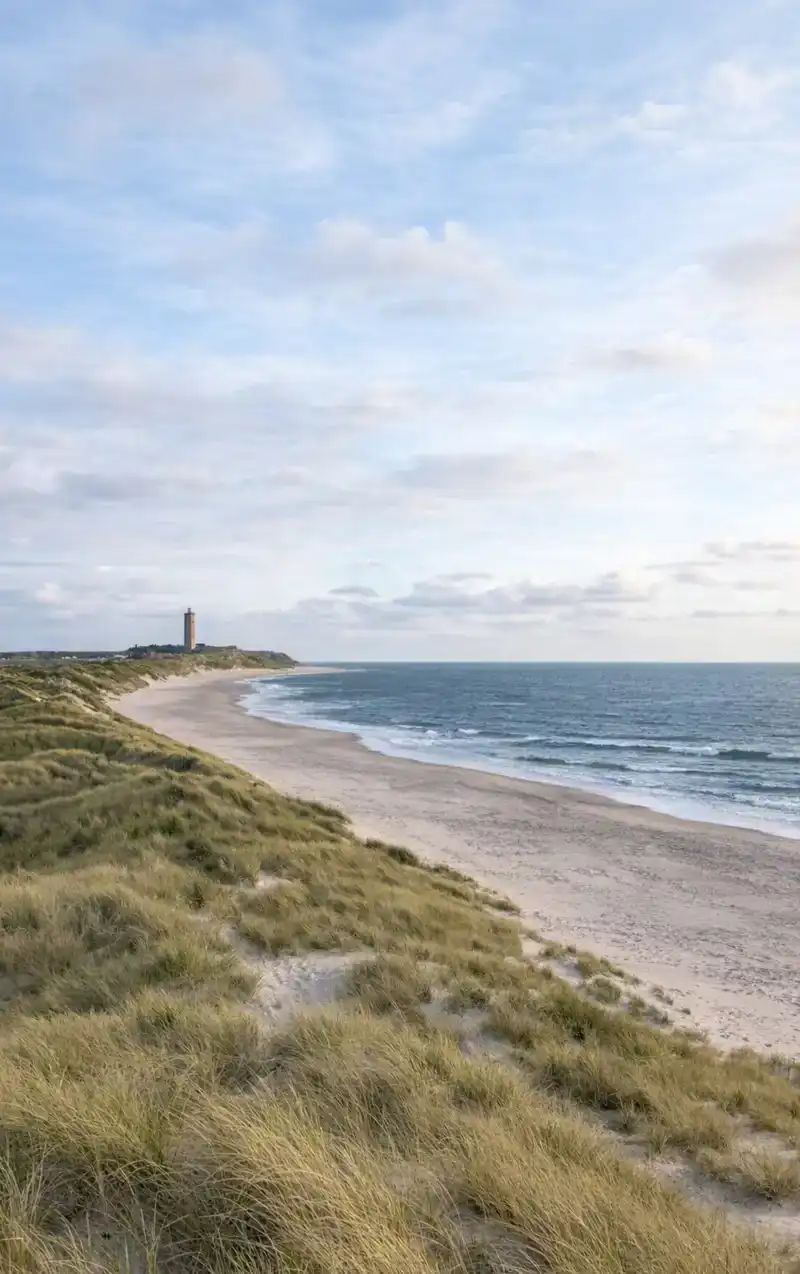 ALLES OVER TERSCHELLING