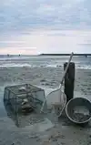 KRABBEN EN GARNALEN VANGEN AAN DE KUST