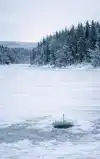 IJSVISSEN IN SCANDINAVIE