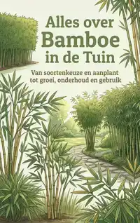 ALLES OVER BAMBOE IN DE TUIN