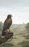 STARTEN MET VALKERIJ