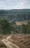 DE VELUWE ULTIEME GIDS
