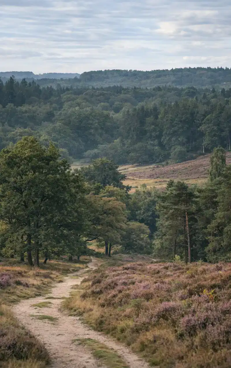 DE VELUWE ULTIEME GIDS