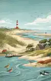 ALLES OVER SCHIERMONNIKOOG