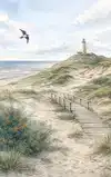 ALLES OVER VLIELAND