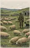 ALLES OVER SCHAAPSKUDDES EN HERDERS