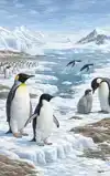ALLES OVER DE PINGUIN