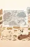 ALLES OVER DE KLEURMUIS