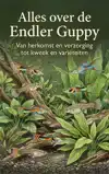 ALLES OVER DE ENDLER GUPPY