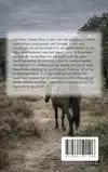 ALLES OVER HET NEW FOREST PONY